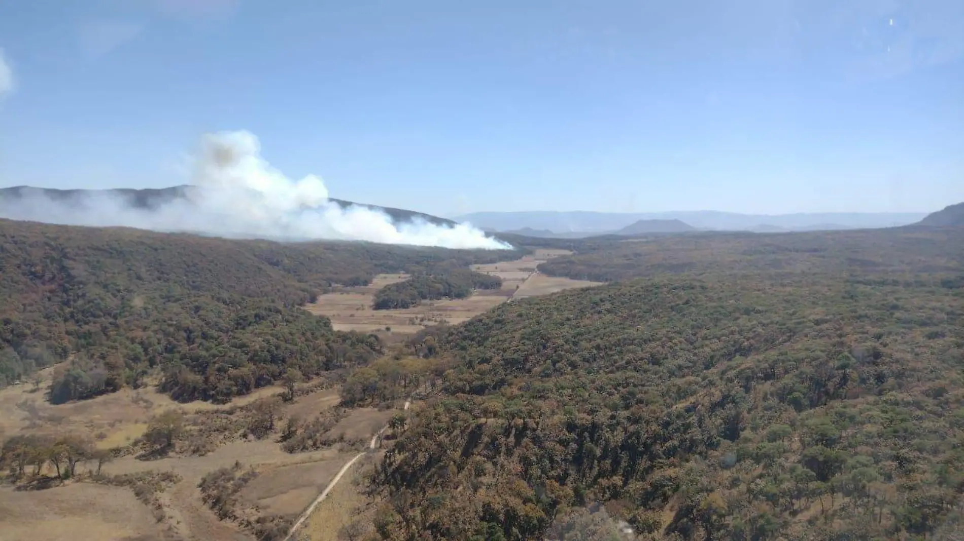 Incendio Área Protegida Bosque de la Primavera